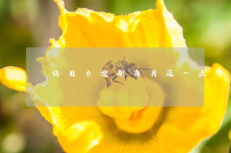 信用卡逾期每月还一点可以不 信用卡逾期每月还一点可以不