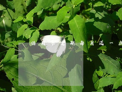 信用卡逾期每月还一点还会坐牢
