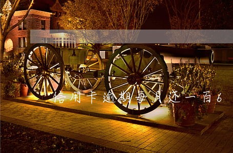 信用卡逾期每月还一百6 信用卡逾期每月还一百6
