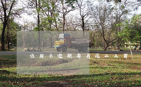 信用卡逾期每月还二三百
