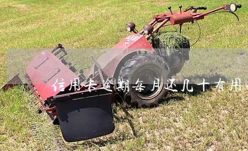 信用卡逾期每月还几十有用吗