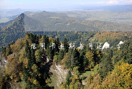 信用卡逾期每月还几千 信用卡逾期每月还几千