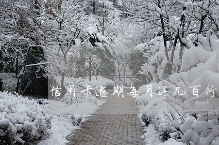 信用卡逾期每月还几百行 信用卡逾期每月还几百行