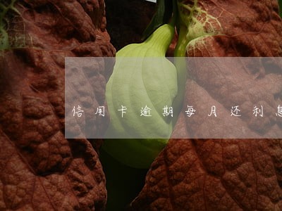 信用卡逾期每月还利息可以吗 信用卡逾期每月还利息可以吗