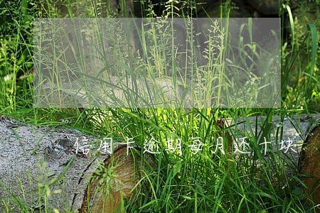 信用卡逾期每月还十块 信用卡逾期每月还十块
