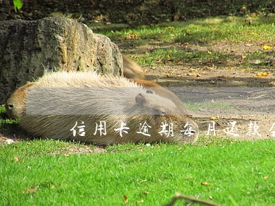 信用卡逾期每月还款会被立案吗 信用卡逾期每月还款会被立案吗