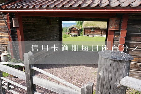 信用卡逾期每月还百分之十