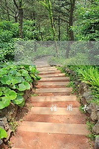 信用卡逾期每月都有还1000 信用卡逾期每月都有还1000
