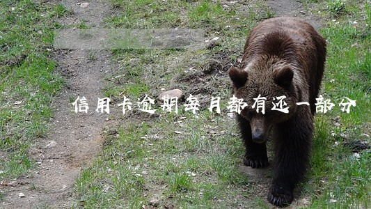 信用卡逾期每月都有还一部分 信用卡逾期每月都有还一部分