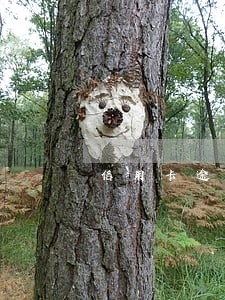 信用卡逾期每月都还点 信用卡逾期每月都还点