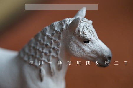 信用卡逾期每期利息三千多