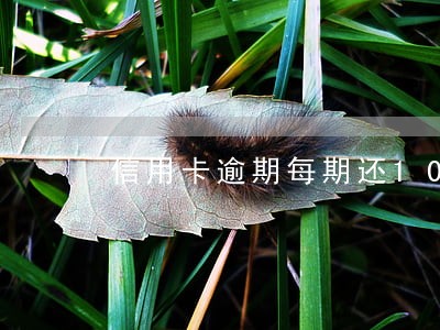 信用卡逾期每期还100 信用卡逾期每期还100