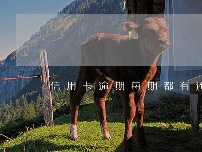 信用卡逾期每期都有还