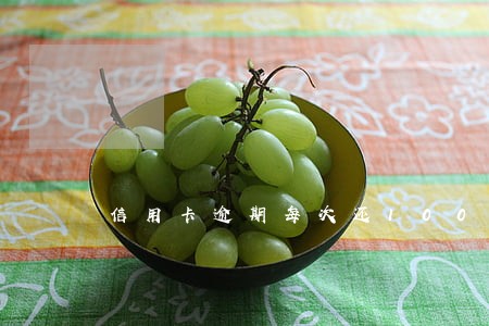 信用卡逾期每次还100 信用卡逾期每次还100