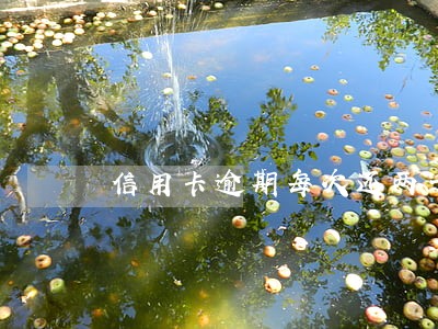 信用卡逾期每次还两千有用吗 信用卡逾期每次还两千有用吗