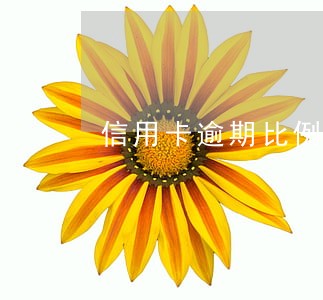 信用卡逾期比例有多少