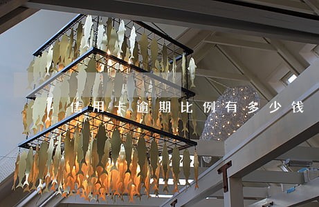 信用卡逾期比例有多少钱 信用卡逾期比例有多少钱