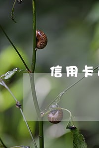 信用卡逾期民事判决有罚金吗 信用卡逾期民事判决有罚金吗
