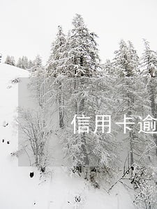 信用卡逾期民事立案