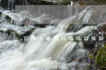 信用卡逾期民事诉讼强制执行 信用卡逾期民事诉讼强制执行