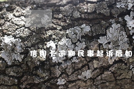 信用卡逾期民事起诉后如何处理 信用卡逾期民事起诉后如何处理