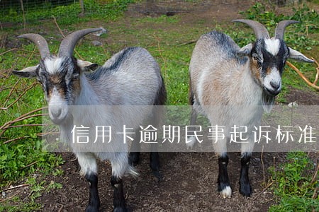 信用卡逾期民事起诉标准 信用卡逾期民事起诉标准