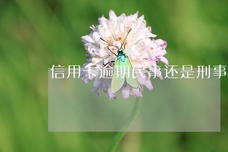 信用卡逾期民事还是刑事 信用卡逾期民事还是刑事
