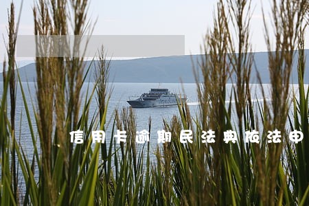 信用卡逾期民法典依法申请裁决 信用卡逾期民法典依法申请裁决