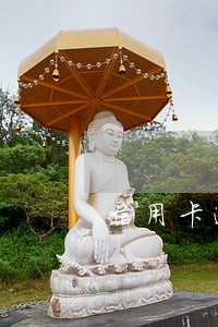 信用卡逾期民法典有解释吗