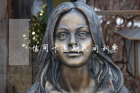 信用卡逾期民间利率 信用卡逾期民间利率