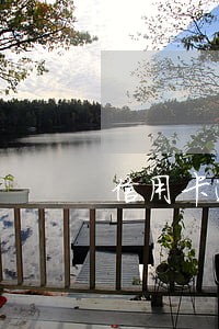 信用卡逾期水滴筹不能筹码