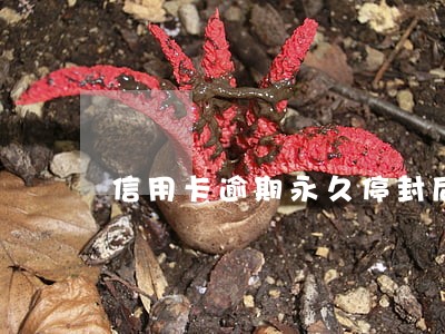 信用卡逾期永久停封后会起诉吗 信用卡逾期永久停封后会起诉吗