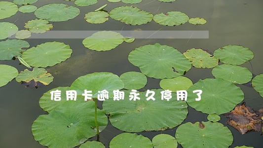 信用卡逾期永久停用了 信用卡逾期永久停用了