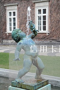 信用卡逾期永久性冻结怎么办 信用卡逾期永久性冻结怎么办