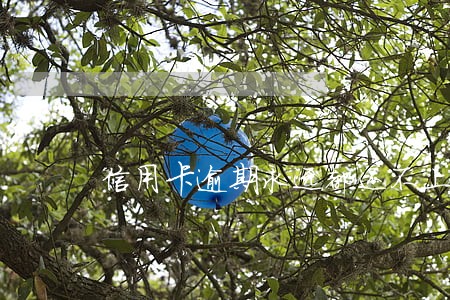 信用卡逾期永远都还不上怎么办 信用卡逾期永远都还不上怎么办