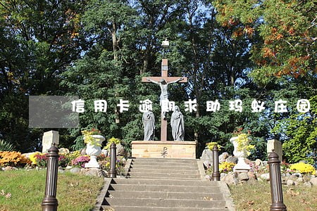 信用卡逾期求助玛蚁庄园 信用卡逾期求助玛蚁庄园