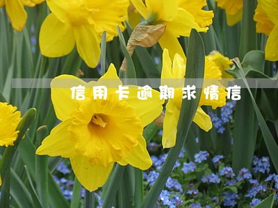 信用卡逾期求情信 信用卡逾期求情信