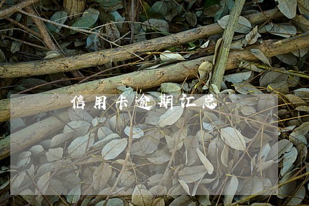 信用卡逾期汇总 信用卡逾期汇总