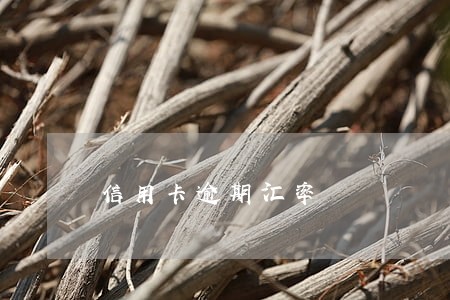 信用卡逾期汇率 信用卡逾期汇率