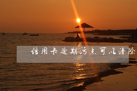 信用卡逾期污点可以清除吗 信用卡逾期污点可以清除吗
