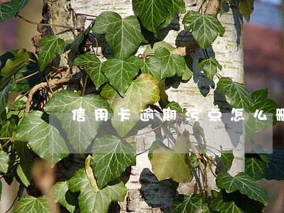 信用卡逾期污点怎么删除 信用卡逾期污点怎么删除