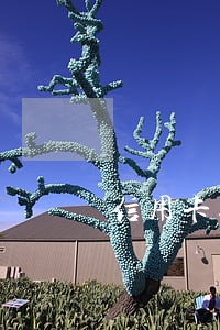 信用卡逾期汽车能不能办理过户