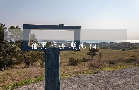 信用卡逾期沈阳