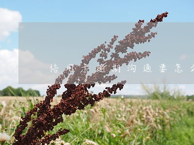信用卡逾期沟通要怎么样说 信用卡逾期沟通要怎么样说