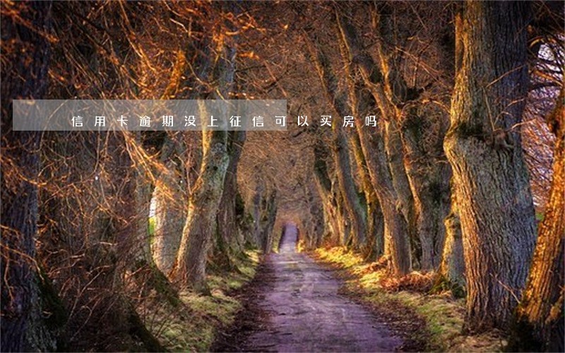 信用卡逾期没上征信可以买房吗 信用卡逾期没上征信可以买房吗
