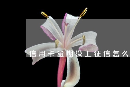信用卡逾期没上征信怎么补救 信用卡逾期没上征信怎么补救
