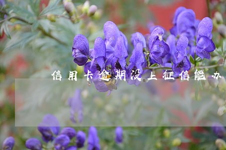 信用卡逾期没上征信能办信用卡 信用卡逾期没上征信能办信用卡