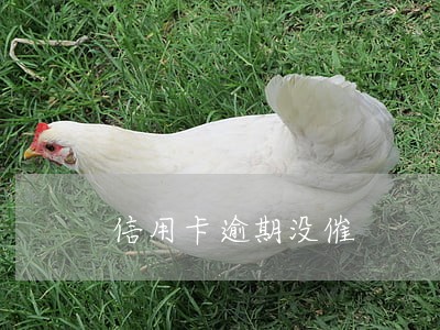 信用卡逾期没催