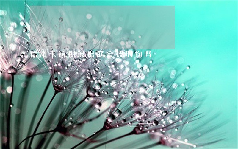 信用卡逾期没出庭会被刑拘吗