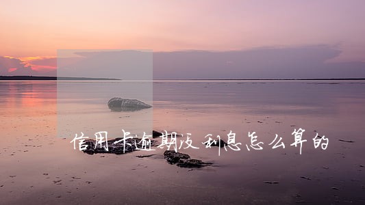 信用卡逾期没利息怎么算的 信用卡逾期没利息怎么算的